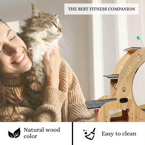 Premium 6-in-1 Cat Wheel Exercise & Fitness Wheel | Indoor Cat Treadmill