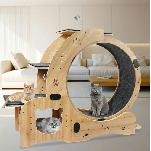 Premium 6-in-1 Cat Wheel Exercise & Fitness Wheel | Indoor Cat Treadmill