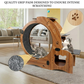 Premium 6-in-1 Cat Wheel Exercise & Fitness Wheel | Indoor Cat Treadmill