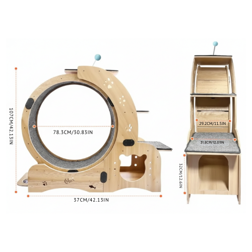 Premium 6-in-1 Cat Wheel Exercise & Fitness Wheel | Indoor Cat Treadmill